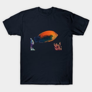 Potter’s Angelfish, Hawaii T-Shirt
